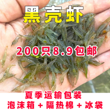 �ښ��r�^�p�r�����r�����r�������~���w�����ˮ��ˮ�r�~�ײ��坍