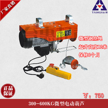Miniature Electric Wire Hoist Woollen Mill 220V 200-1200KG