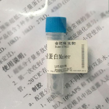 低分子量蛋白 Marker（14.4KD-97.4KD） 20T