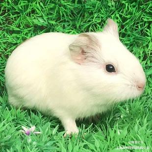 �m���w�λ��i�Ͳ���ڴ��m�������i��������������Ό������