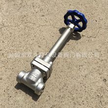 供应DJ61F-40P液化天然气  燃气设备 煤改气 点供管路截止阀门