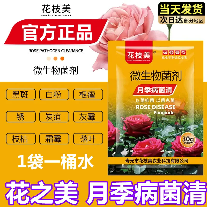 Специальная медицина для очистки роз от болезней, черных пятен, пыльной плесени, желтых листьев, домашних садовых роз и удобрений для роз.