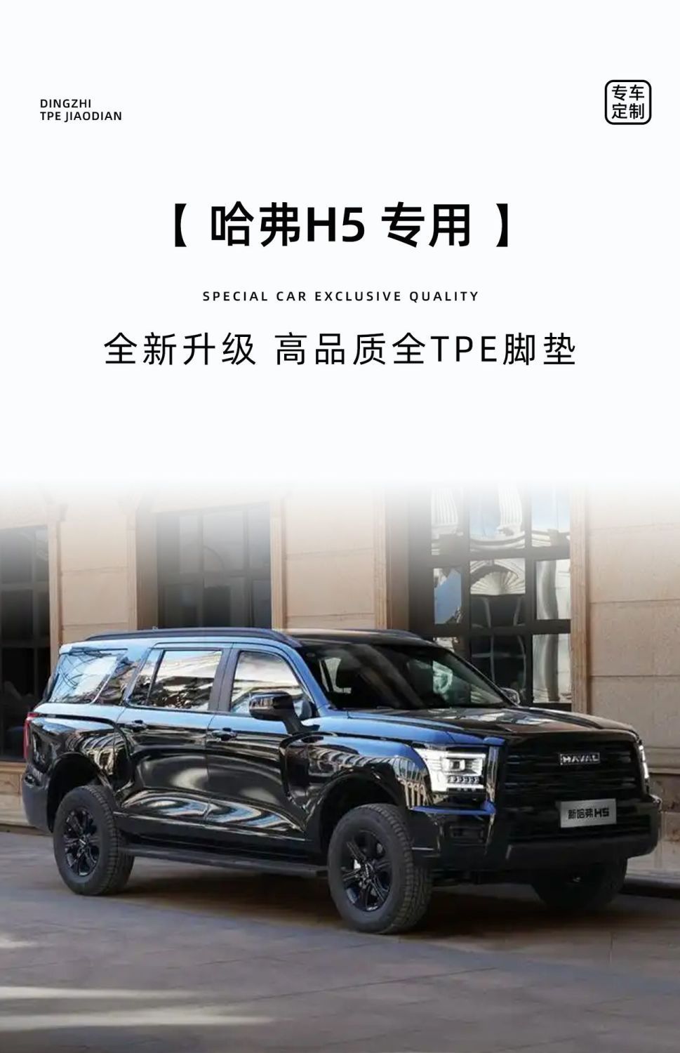 Suitable for Haval H5 Floor Mats Tpe Surround 2025 Model Special Driver's Seat Great Wall Haval Upper Layer Car Accessories New