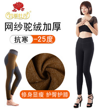 �ļ�ĵ����ůѝŮ�ﶬ���ӼӺ��qѝ�����@�������W�����ѝ��ѝ