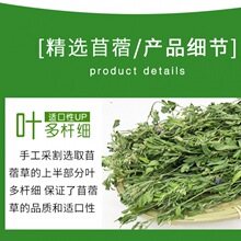 优质紫花苜蓿提摩西幼兔粮食干豚鼠龙猫荷兰猪兔子主粮牧