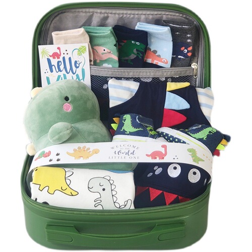 Baby Dinosaur Era Handbag Gift Box Spring Summer Autumn Newborn Gift Shoes Clothing Plush Set
