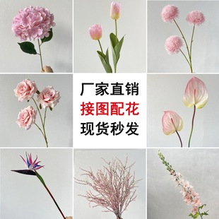 �¿��ɫ��c���滨���l�\��ɫ��Y�F�����üٻ���c·�������b�