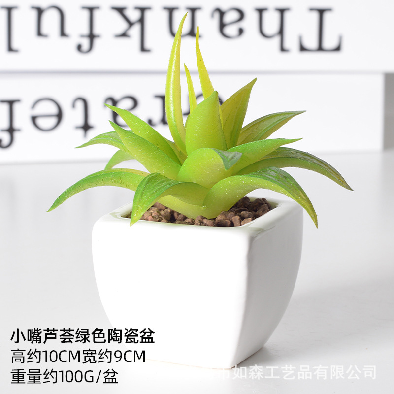 Simulación de cerámica bonsai de carne doméstica decoración de escritorio de oficina plantación verde maceta props de disparo maceta combinada artificial image 60