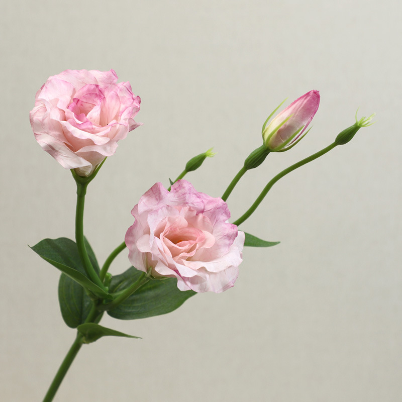 멀티 헤드와 절묘한 Platycodon grandiflorum 꽃 가짜 꽃 하이 엔드 장식 꽃 거실 장식 테이블 테이블 테이블 테이블 꽃 시뮬레이션