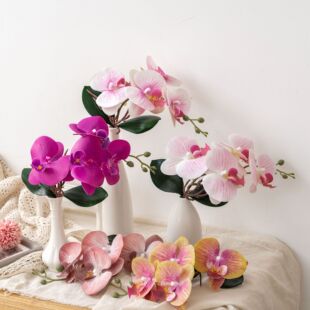 �ǿ��̲莧�~�����mINS�L���滨�b羳��c���l�ٻ��S�ҼҾ�