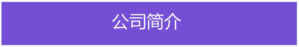 公司简介