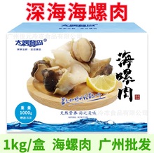海螺肉 刺身海螺 深海海螺海鲜水产批发 大海螺肉 海螺头火锅食材