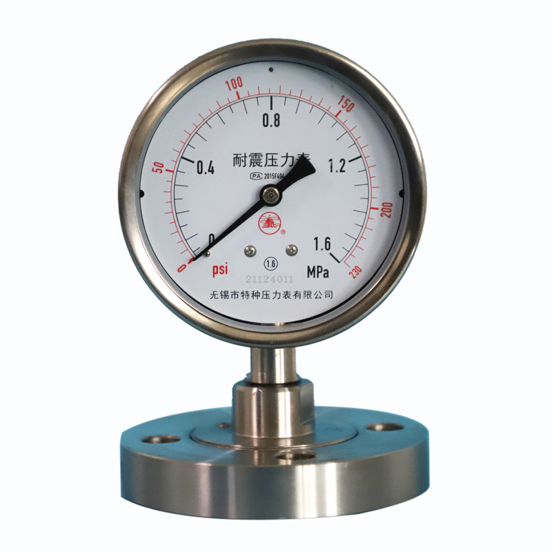 雪浪特种仪表 卫生型隔膜压力表不锈钢卡箍快装卡盘式工业级
