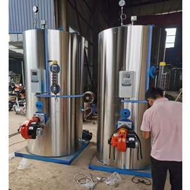 燃气锅炉;电热锅炉;蒸汽发生器