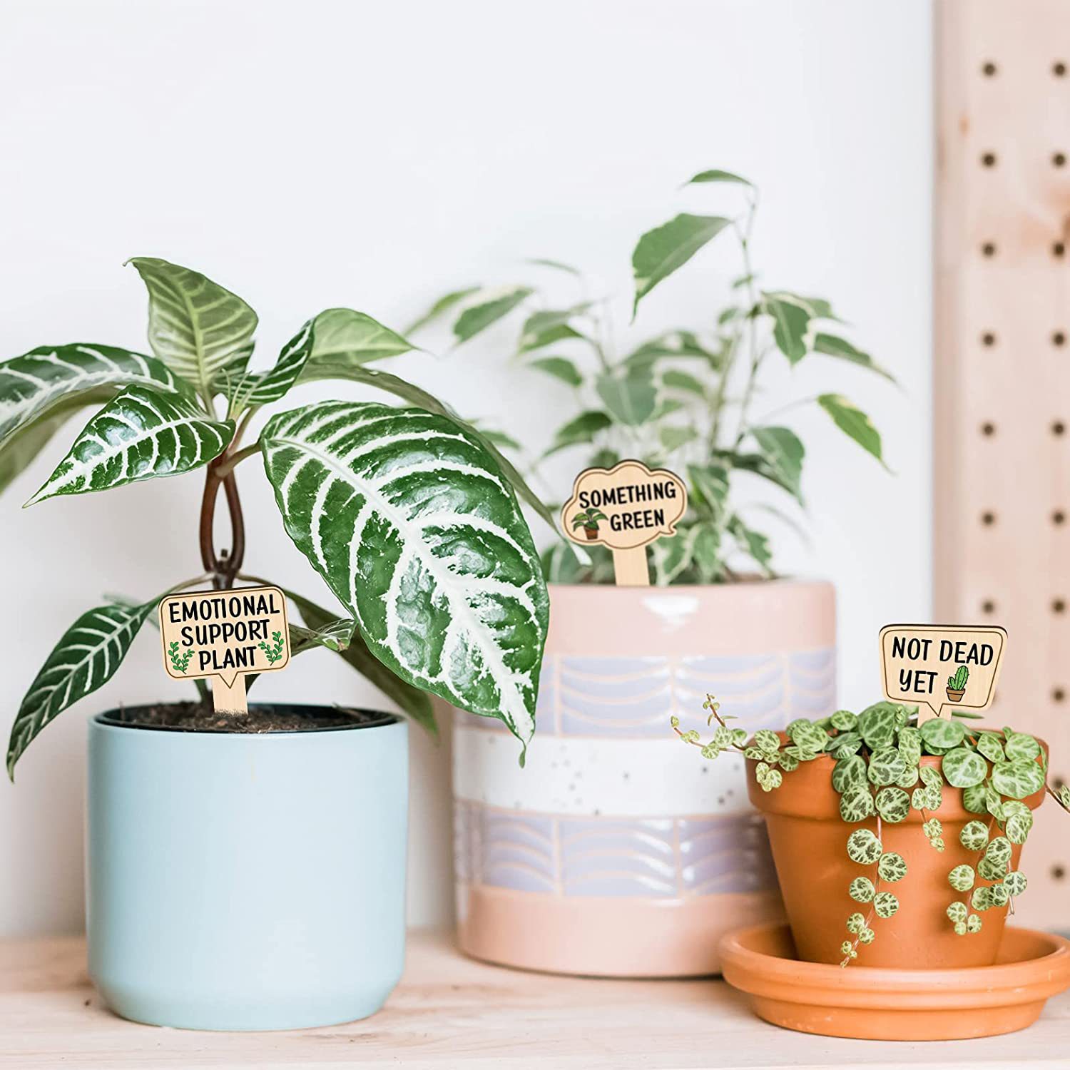 71xHx-sCjVL._AC_SL1500_