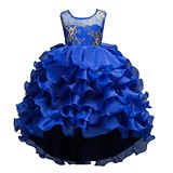 Детское вечернее платье, костюм для принцессы, (Трансграничная торговля), подходит для подростков