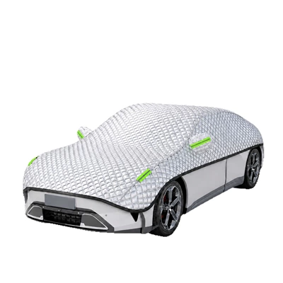and frost protection, freeze protection, rain | Car clothing