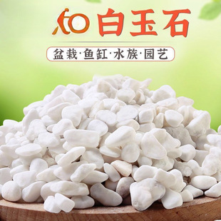 Small White Stone Succulent Paving Stone Flower Cultivation Pebble Rain Flower Stone Fish Tank Landscaping Potted Courtyard Paving Free Shipping