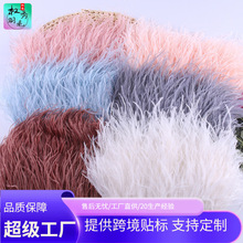 �S�ҹ����r�Bëdiy�Ʒ�����ë�r�B��ë�·����ȹ߅�b�