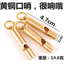 ���~��������� ����������� ���ٸ��g�{���������Ӗ����