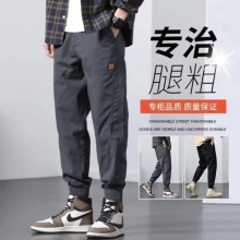 2024���bѝ�д��������_Ʀ����ѝ��ϵ������ʿ���e�Lѝ����