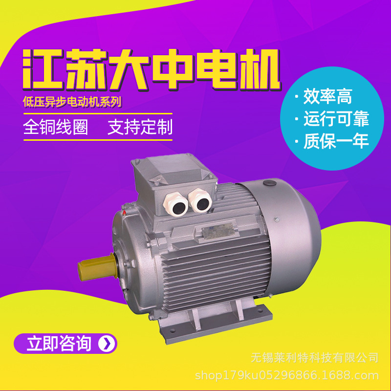 Jiangsu Dazhong Motor Ye5P Series First-Class Energy-Efficiency Variable Frequency Speed-Adjustable Low-Voltage Three-Phase Asynchronous Motor Direct Supply from the Manufacturer