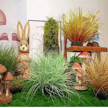 ����݅���С�����[�ݱ��W�L������֧�JȔ�҃ȷ���ֲ���b�