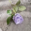 Светло-фиолетовый