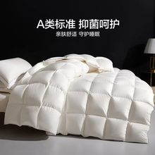 正宗羽绒被95白鹅绒冬季加厚被芯单人儿童被春秋被保暖蓄热鹅绒被