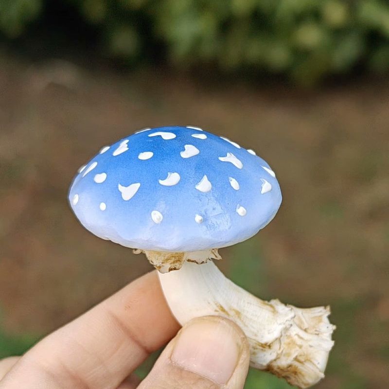云南野生菌冰箱贴 手工制作 磁铁冰箱贴 蘑菇冰箱贴 冰箱贴磁吸式|undefined