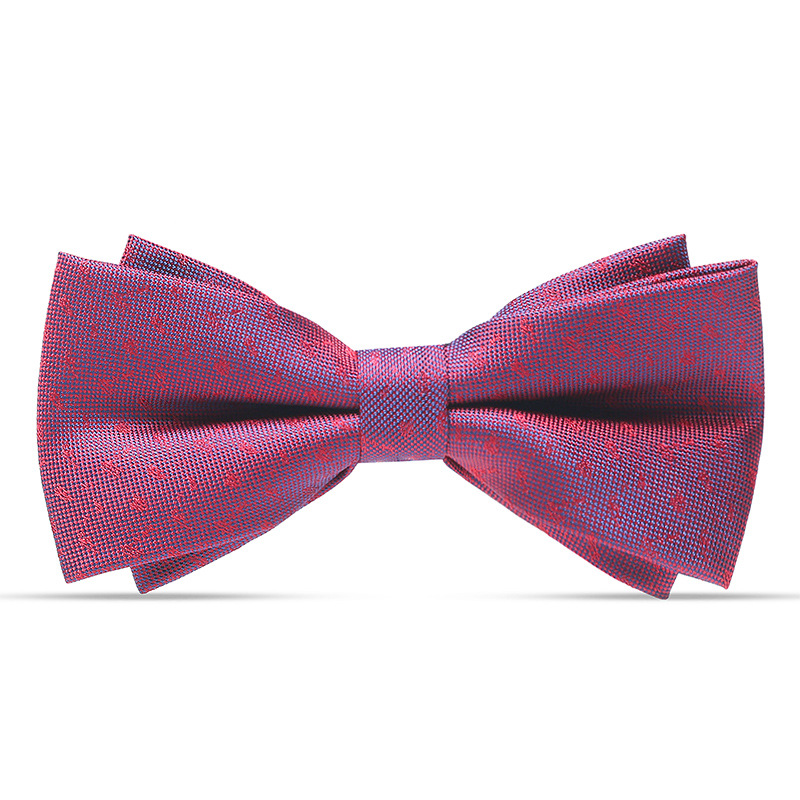 우아한 와인 레드와 블루 나비넥타이♜