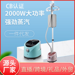 縦型衣類スチーマー、家庭用スチームアイロン、乾湿両用アイロン機、ポータブル寮用衣類アイロン機