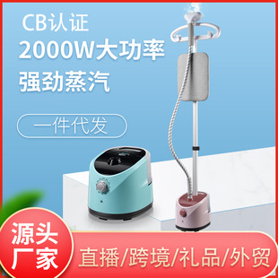 Vertical Garment Ironing Machine, Household Steam Iron, Flat Hanging Wet and Dry Ironing Machine, Portable Dormitory Ironing Artifact