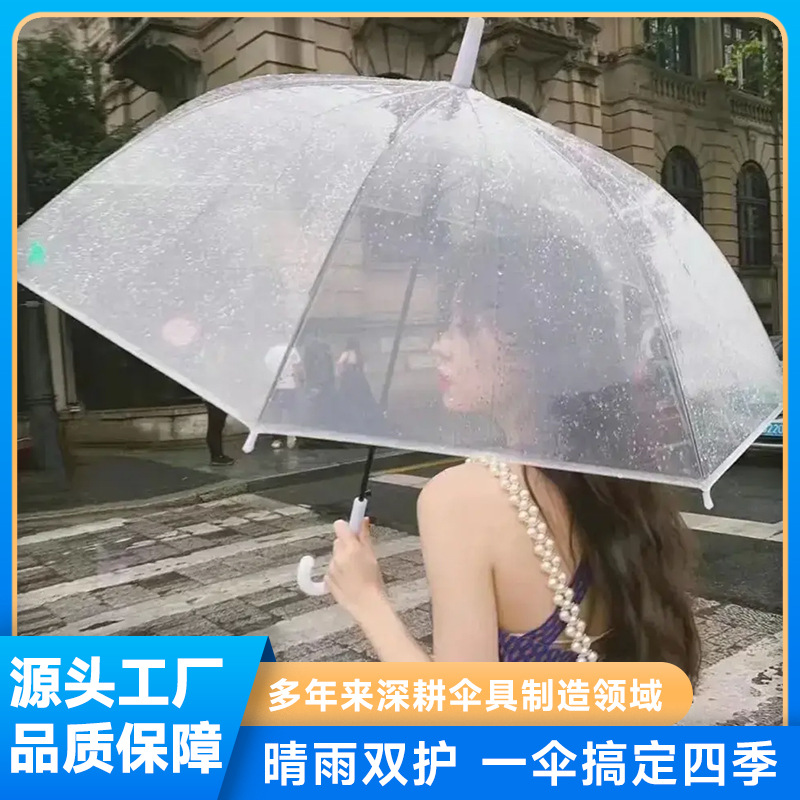 Simple transparent umbrella to check in and take photos