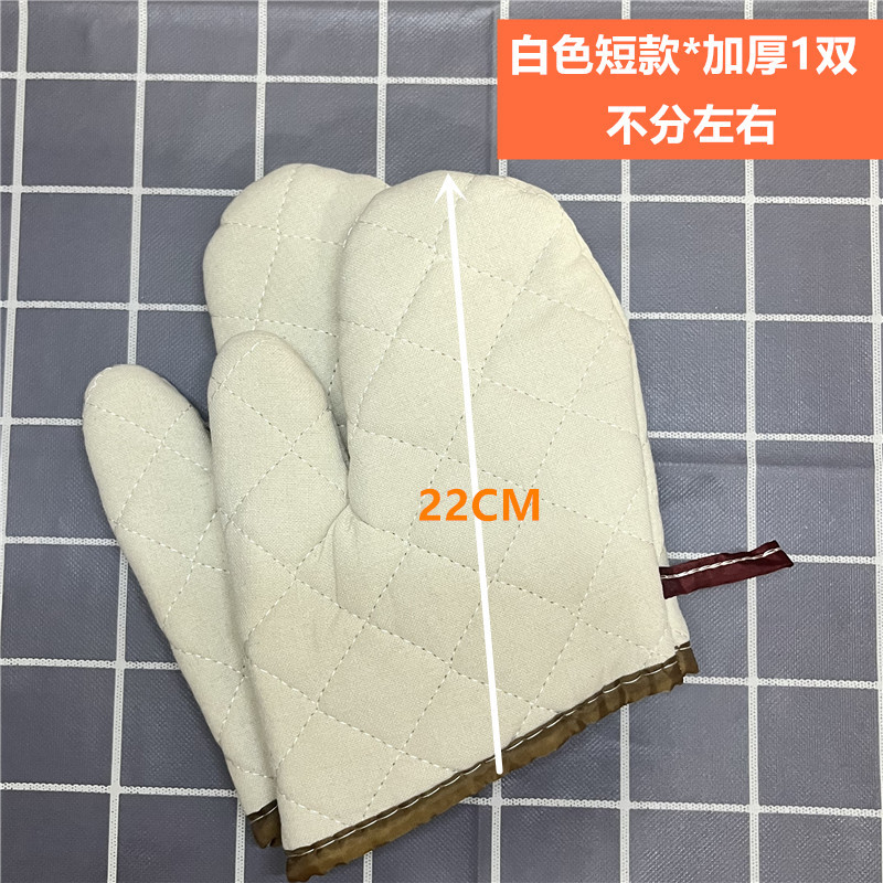 짧은 22CM