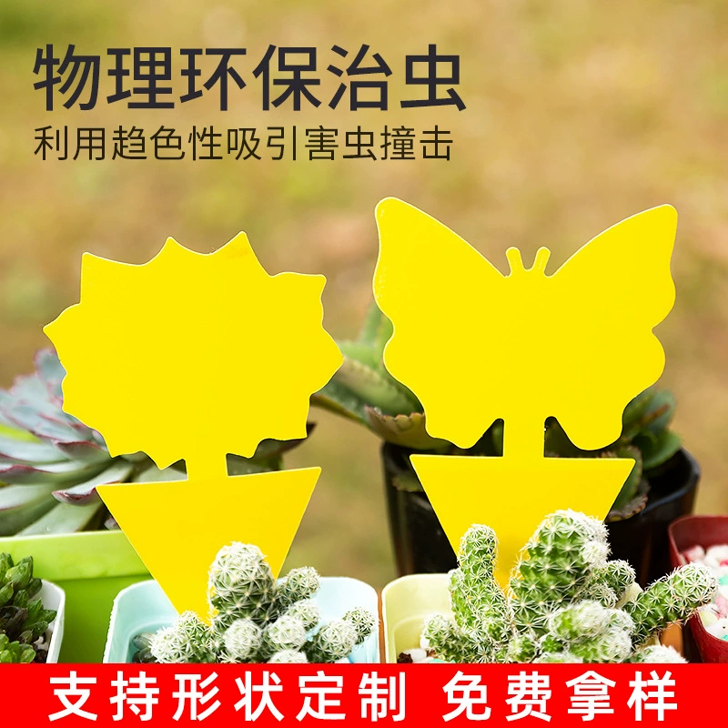 Двусторонняя липкая пластина слизи ловушка для летающих червей