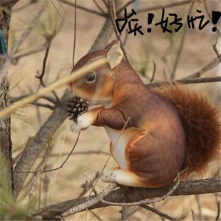 �羳�¿����������������ë�q����B�����ż�[����ͯ�YƷ���l