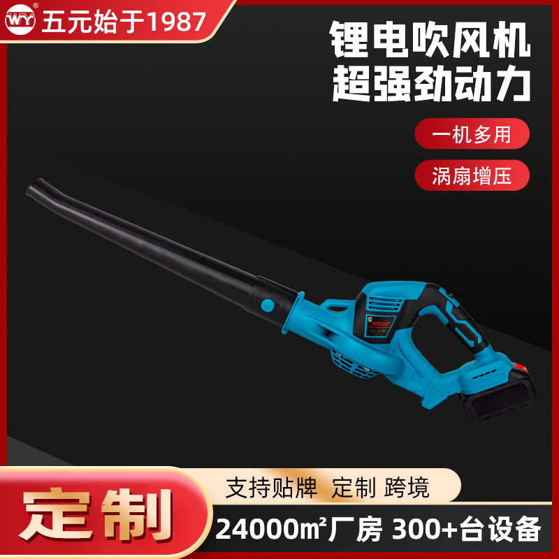 Five Yuan Wdg21 Corded Lithium Battery Handheld Household Cross-Border Wireless Medium-Sized Hair Dryer Custom Quick-Dry Rechargeable