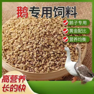 �S��20���Z���ι�Z��С�Z�_�����Z�����w��ȫ�r���Bֳ���������l