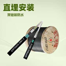 国标48芯光缆GYFTZA53双铠装直埋轨道专用光缆4芯24芯光缆光纤线