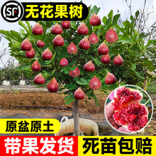 �o��������玧�������Ϸ�����ͥԺ�����̨ˮ�����ļ��Nֲ�ش��