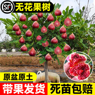 �o��������玧�������Ϸ�����ͥԺ�����̨ˮ�����ļ��Nֲ�ش��