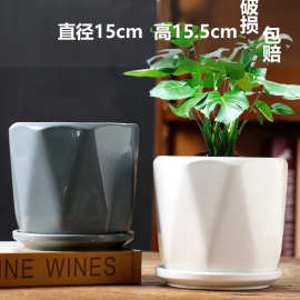 花盆陶瓷特价清仓大号特大号带托盘创意白色绿萝北欧简约风格