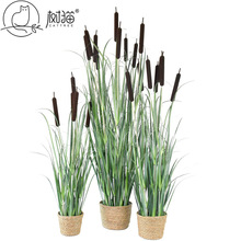 树猫仿真芦苇假花5头水蜡烛香蒲苇草盆栽客厅绿植装饰人造洋葱草