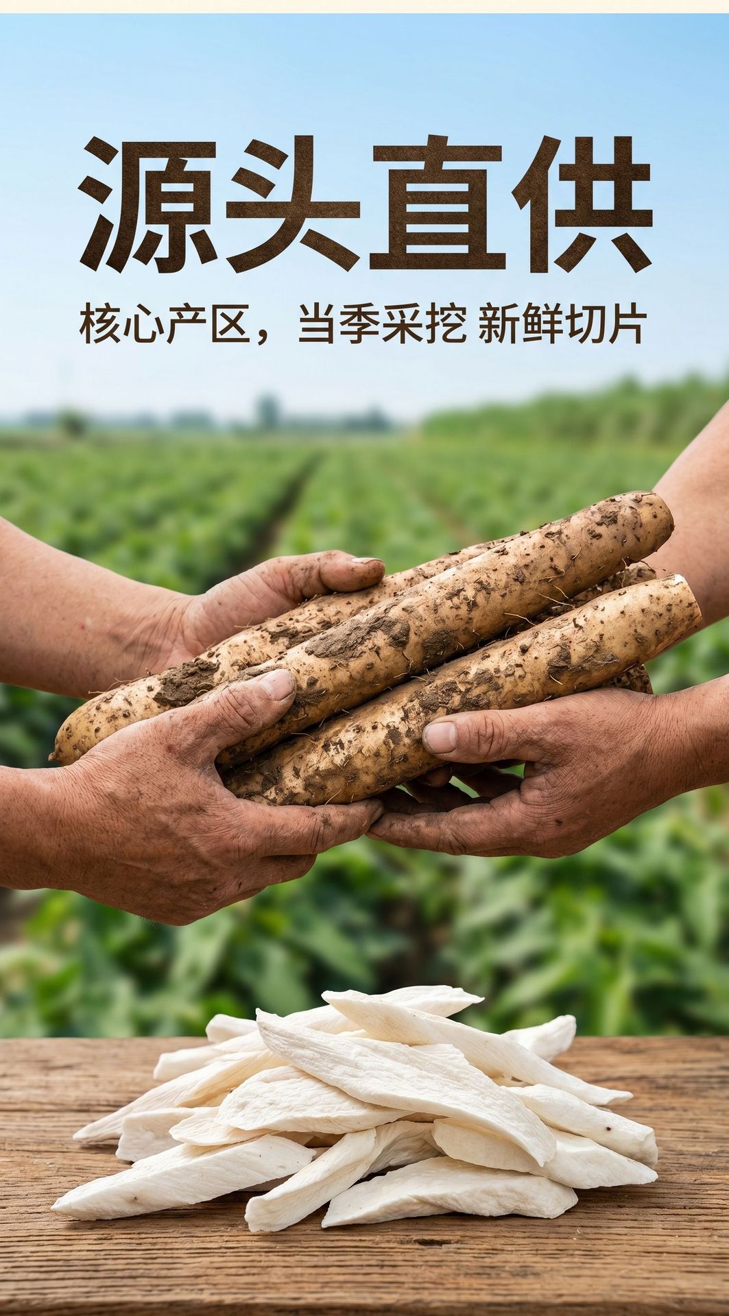 Dried Chinese Yam Slices Tie Gun Shan Yao 100g Naturally Sun Dried Sulfur Free for Soups and Congee specifications