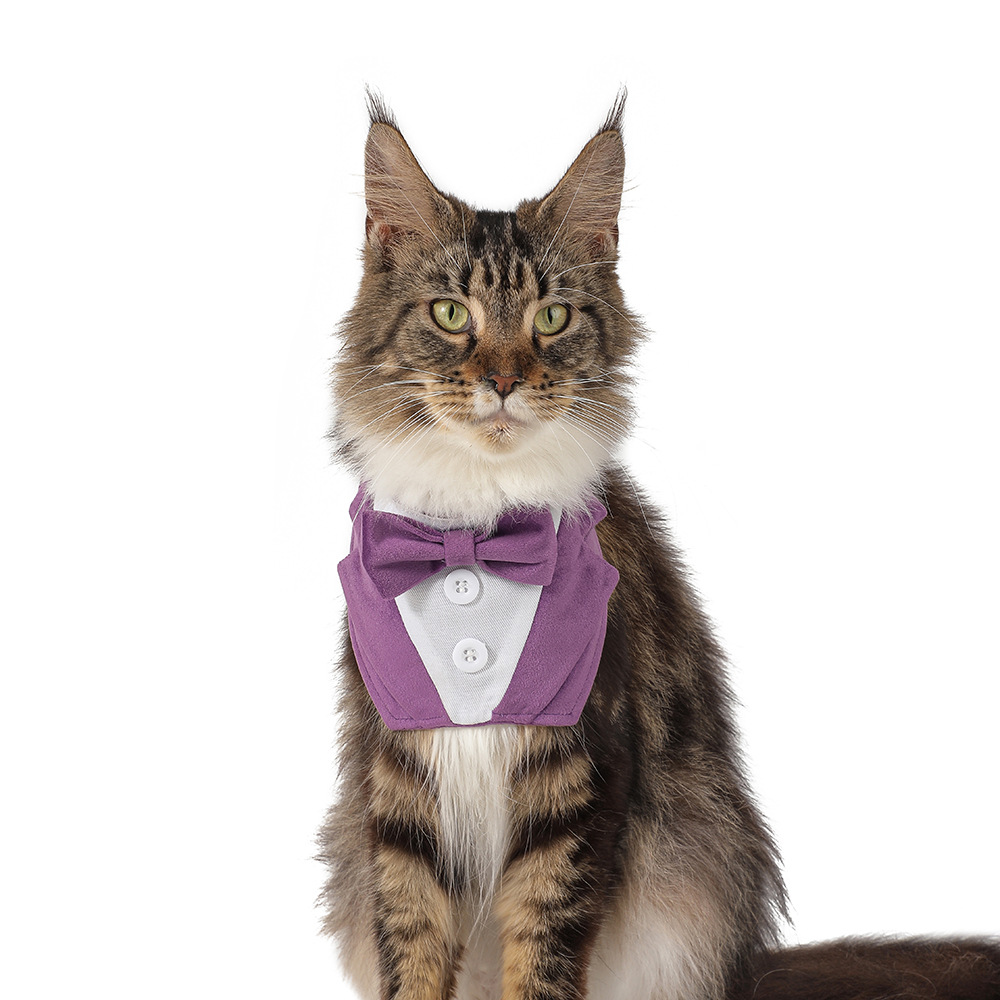 TANPOPO transfronterizo nueva moda guapo toallas toallas de mascota triángulo velcro toallas de saliva para perros bufandas