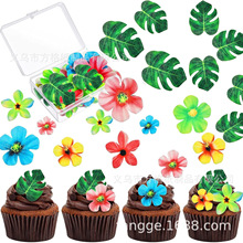 Ŵ׼ӡ~Ŵ׻ZŴ׻Ŵ׺С