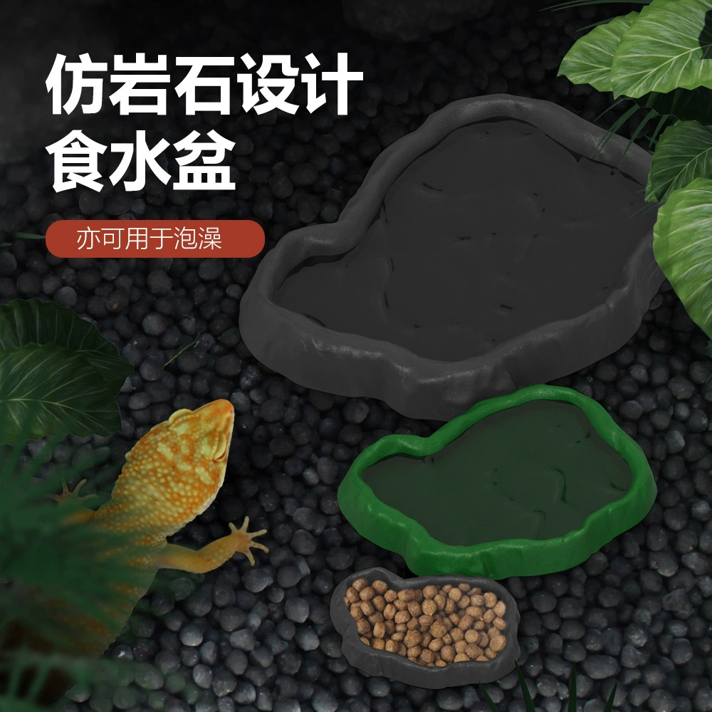 Ползучий бассейн рептилии Питьевая ящерица Хамелеон имитирует скалистый ландшафт