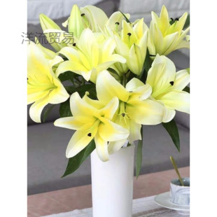 Perfume Lily Multi-Headed Flower Bouquet Yunnan Kunidi Freshly Picked Straight Hair Water-Raised Flowers Real Flowers Yunnan