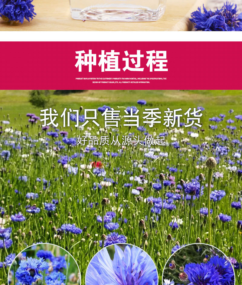 Cornflower Petals (Centaurea cyanus) — Dried Blue Sapphire Flower Heads, Food-Grade Bulk Herb in use